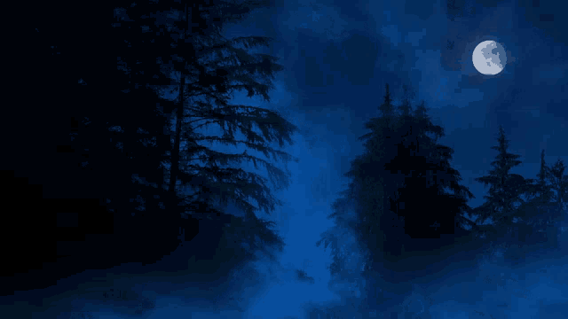 Ay ışığı altında mavi gece ormanı